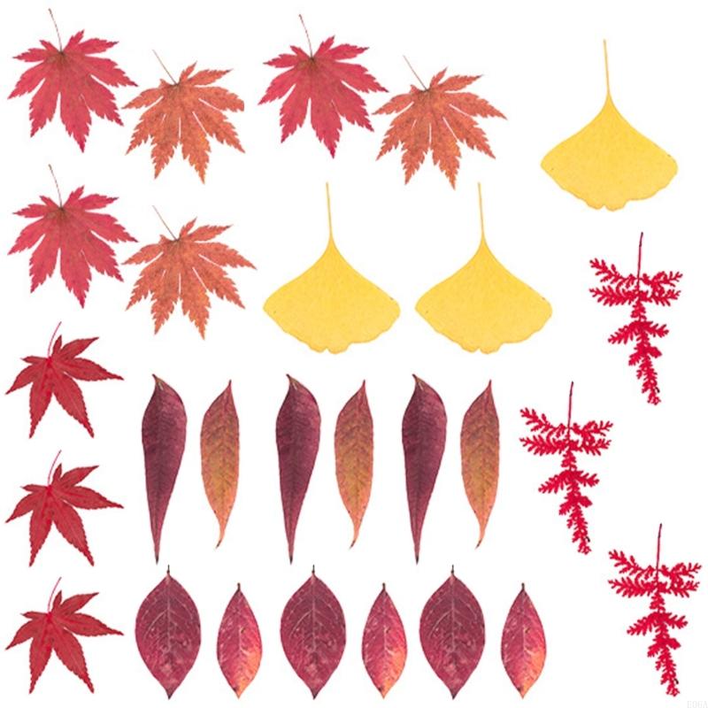زهرة مجففة مضغوطة لقوالب الرات - مراجعة Art Craft Leaves وسعره